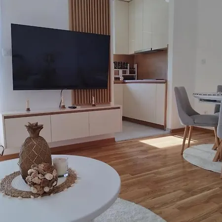 Apartmán Maja 12 Podgorica